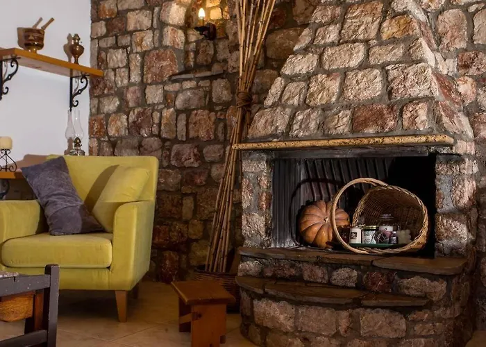 Petrino Eco Conscious Living