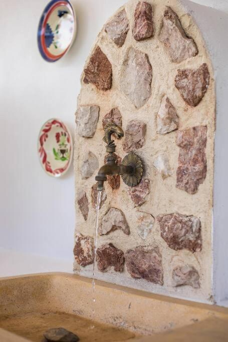 Petrino Eco Conscious Living