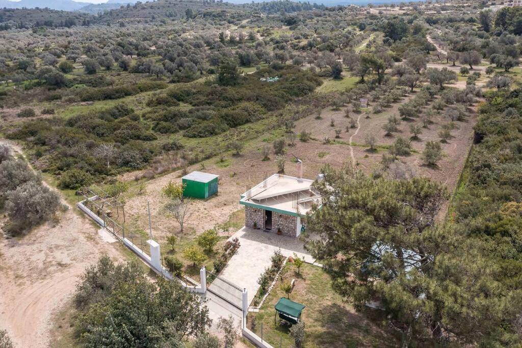 Petrino Eco Conscious Living Сasa de vacaciones Kalithies